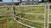 CATTLE HANDLING RING/YARD - 8
