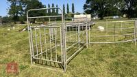 CATTLE HANDLING RING/YARD - 11