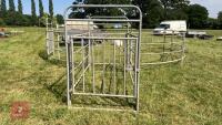 CATTLE HANDLING RING/YARD - 12