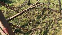 15' FOLDING CHAIN HARROWS - 10