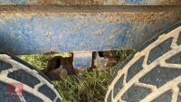 1984 BRAIN LEGG 10T GRAIN TRAILER - 23