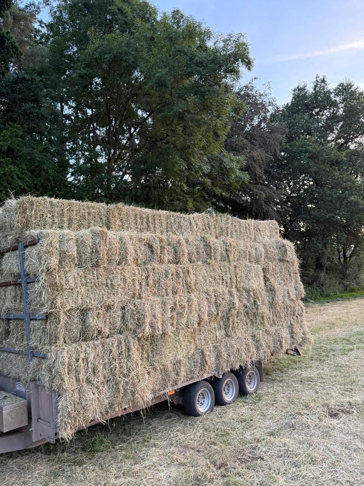 100 CONVENTIONAL BALES OF 2026 HAY - BIDS FOR THE GROUP