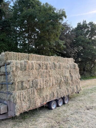 100 CONVENTIONAL BALES OF 2026 HAY - BIDS FOR THE GROUP