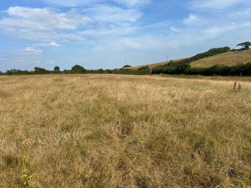 9.5 ACRES OF GRASS FOR MOWING - BIDS PER ACRE
