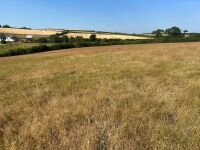 9.5 ACRES OF GRASS FOR MOWING - BIDS PER ACRE - 2
