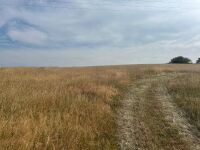 9.5 ACRES OF GRASS FOR MOWING - BIDS PER ACRE - 4