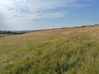 9.5 ACRES OF GRASS FOR MOWING - BIDS PER ACRE - 6