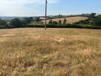 9.5 ACRES OF GRASS FOR MOWING - BIDS PER ACRE - 7
