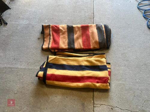 2 WHITNEY EXERCISE RUGS