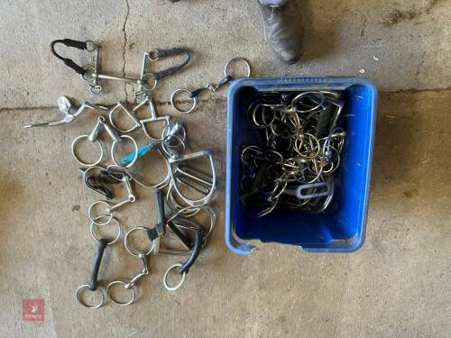 BOX OF BITS AND STIRRUPS