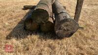 5 MIXED TELEGRAPH POLES - 8