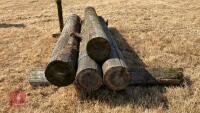 5 MIXED TELEGRAPH POLES - 12