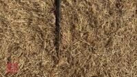 ORIGIHNAL IMPLEMENTS EURO 8 BALE SPIKE - 5