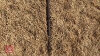 ORIGIHNAL IMPLEMENTS EURO 8 BALE SPIKE - 8