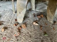 KUHN 302 POWER HARROW - 15