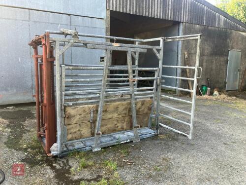 RANCHER GALVANISED CATTLE CRUSH
