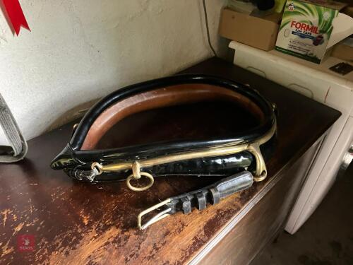 PATENT LEATHER FULL COLLAR