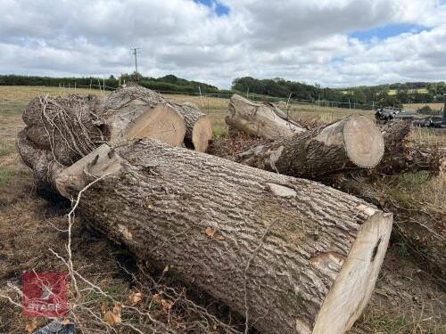 4 VERY LARGE UNSEASONED ASH BUTTS