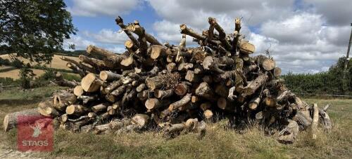 LARGE STACK OF UNSEASONED ASH/HARDWOOD