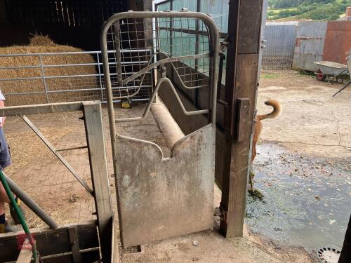 GALVANISED CRUSH GATE