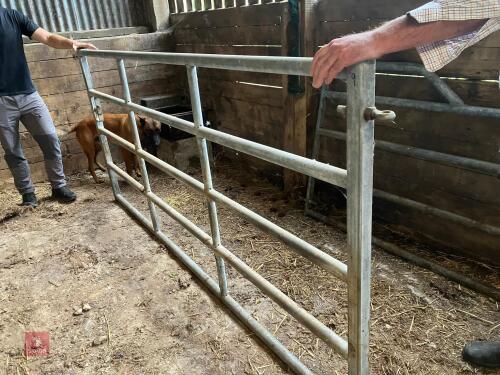 9' 2 1/2'' GALVANISED YARD GATE (9)