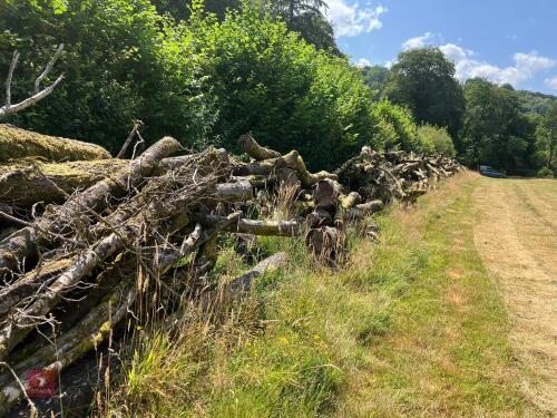 FELLED BULK TIMBER