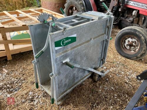 CONDON CALF CRATE