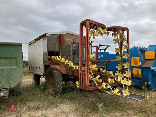BELARUS CAULIFLOWER RIG S/R