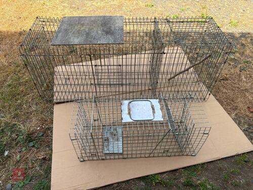 LARSEN TRAP & SMALL ANIMAL TRAP