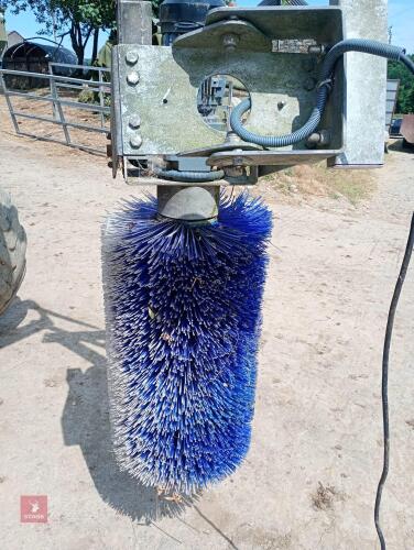 COW MASTER COW BRUSH