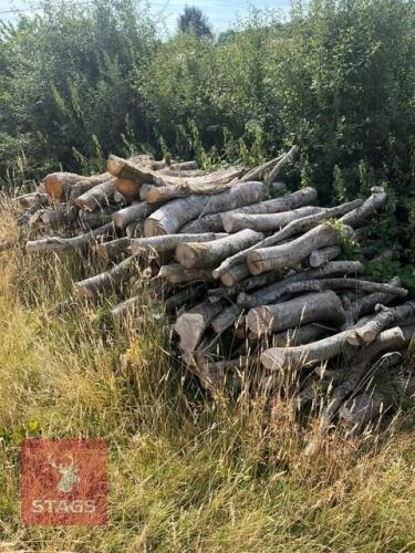 SEASONED HARD WOOD LOGGING TIMBER