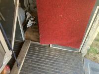 1999 RENAULT MASTER 2.8 TDI VAN (60) - 56