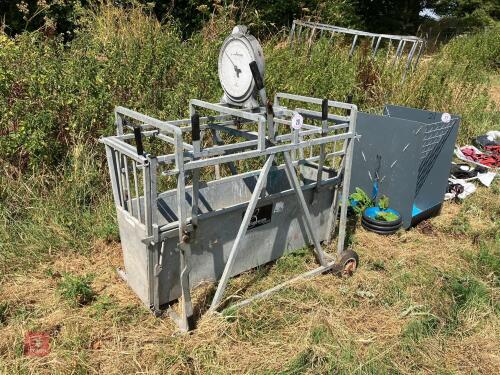 BATEMAN SHEEP WEIGH CRATE (20)