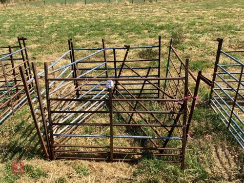 6 X 4' SHEEP HURDLES (30)