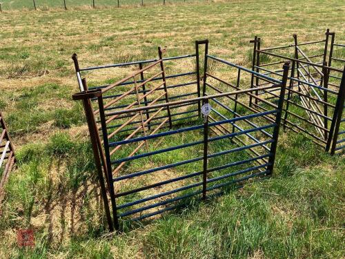 5 X 4' SHEEP HURDLES (33)