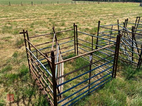 5 X 4' SHEEP HURDLES (35)