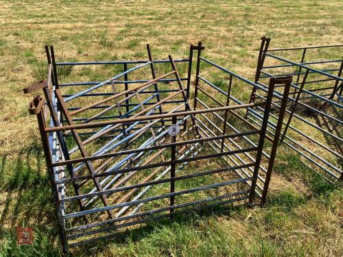 6 X 4' SHEEP HURDLES (36)