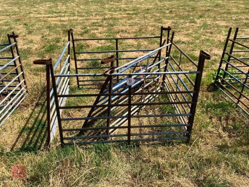 6 X 4' SHEEP HURDLES (37)