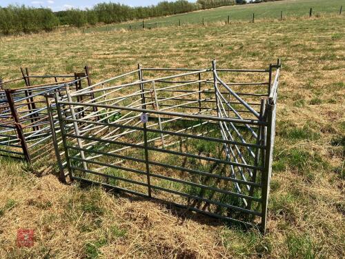 6 X 6' GALVANISED SHEEP HURDLES (39)