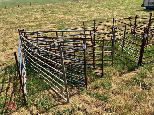 10 MIXED 6' SHEEP HURDLES (40)