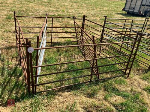 6 X 6' SHEEP HURDLES (41)