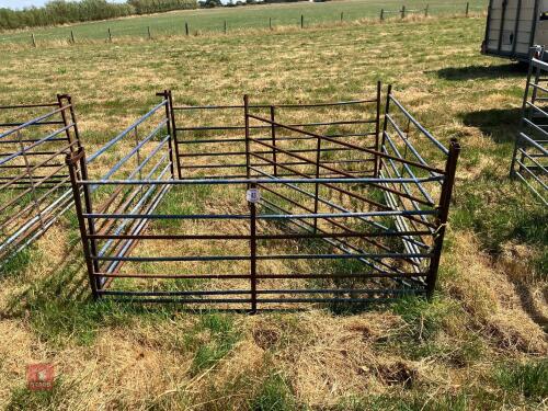 5 SHEEP HURDLES (43)