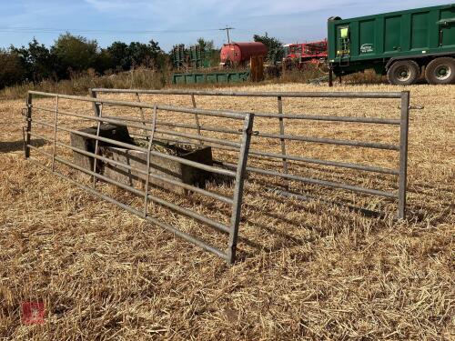 2 X 16' HEAVY DUTY YARD GATES