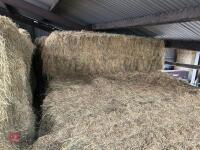 40 BALES OF 2026 HAY - BIDS PER BALE - 3