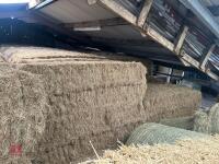 40 BALES OF 2026 HAY - BIDS PER BALE - 5