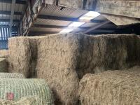 40 BALES OF 2026 HAY - BIDS PER BALE