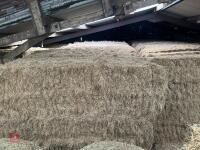 40 BALES OF 2026 HAY - BIDS PER BALE - 5