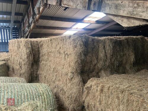 40 BALES OF 2026 HAY