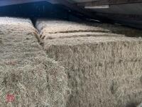 40 BALES OF 2026 HAY - BIDS PER BALE - 6
