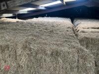 40 BALES OF 2026 HAY - BIDS PER BALE - 7